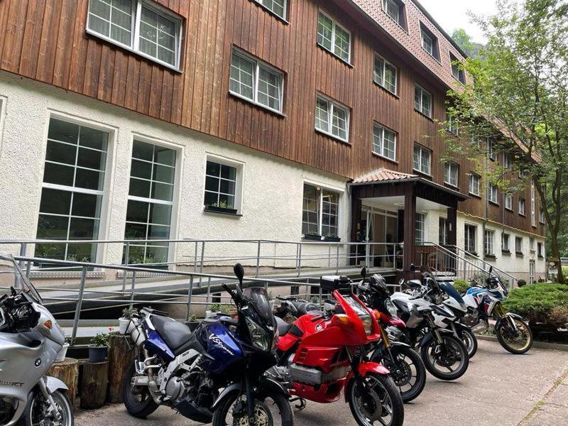 Waldhotel Harz السنبرغ المظهر الخارجي الصورة